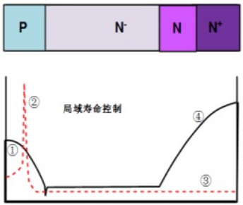 垂直方向濃度分布及載流子壽命分布示意圖